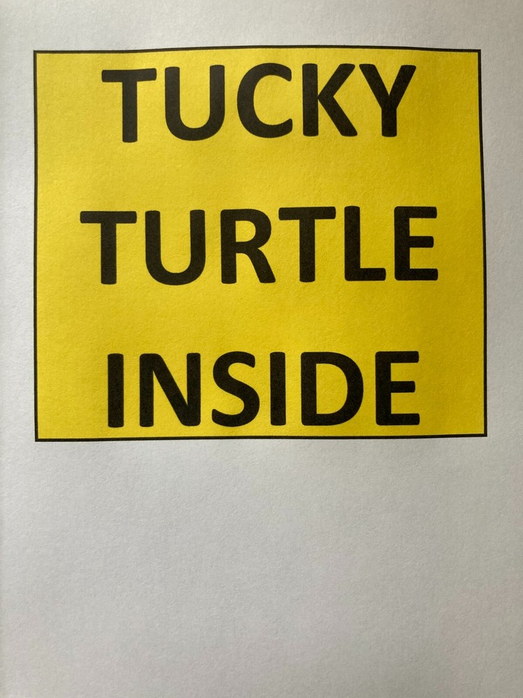 stuffed toy turtle good luck charm