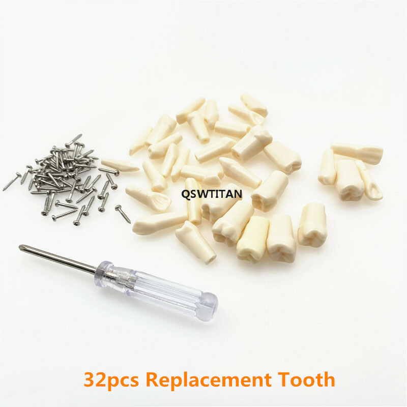 Resin Simulation Tooth Grain Replace teeth For teeth Model macth Nissin brand