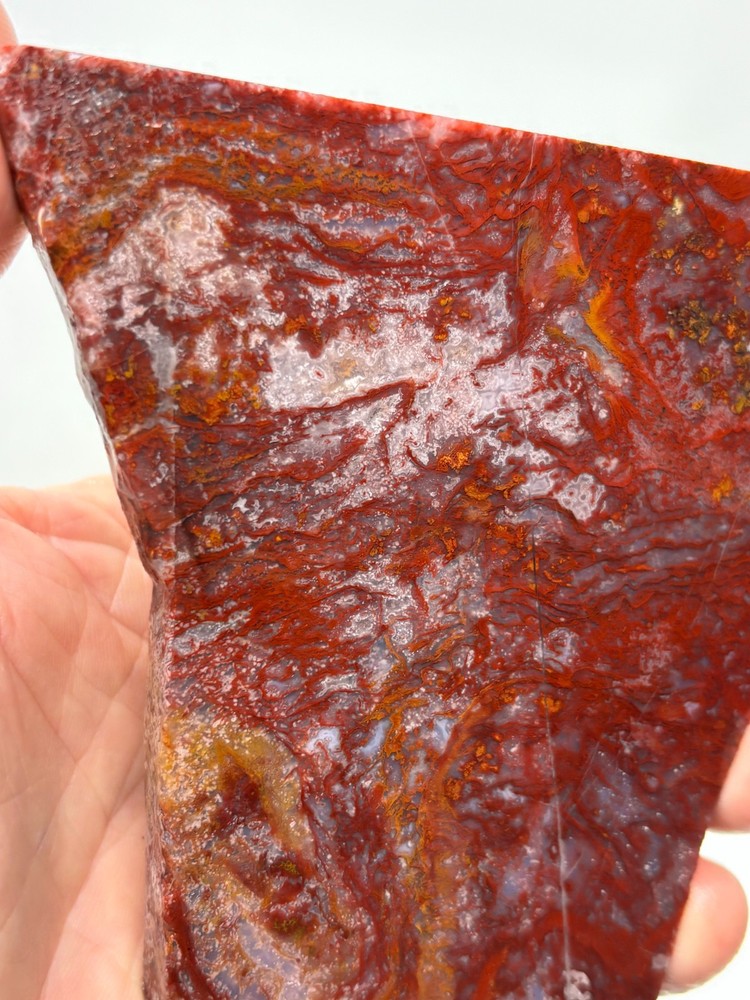 Mexican Red Moss Agate Slabs Lapidary Cabbing Combo Ship Avail