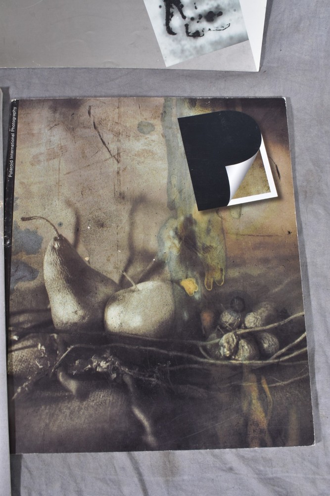 Vintage POLAROID Book BUNDLE Inspiration Step by Step Guide, Guides, Awards & Mo