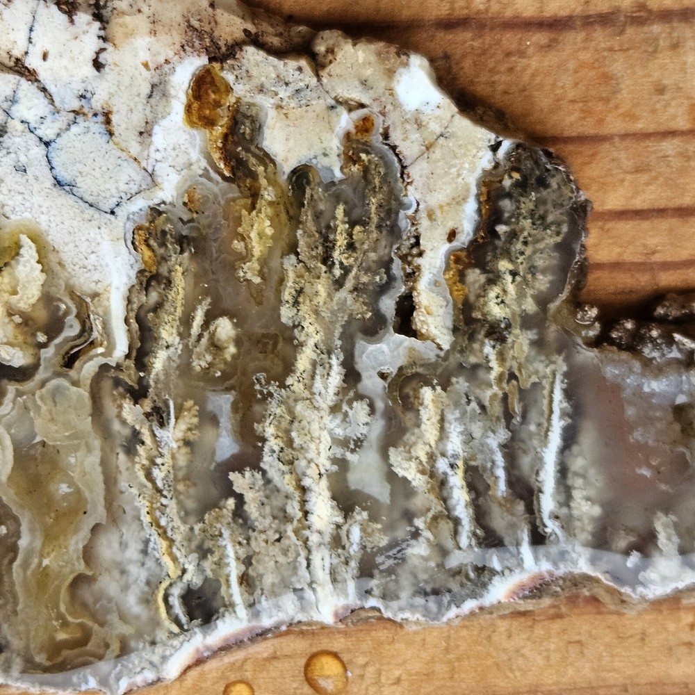 Graveyard Point Plume Agate Slab Oregon 39 grams