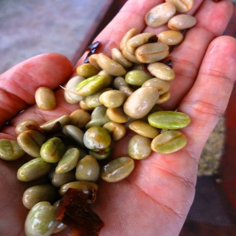 Manual Coffee Bean Peeler Stripper Hand Crank Small Peeling Machine Tool