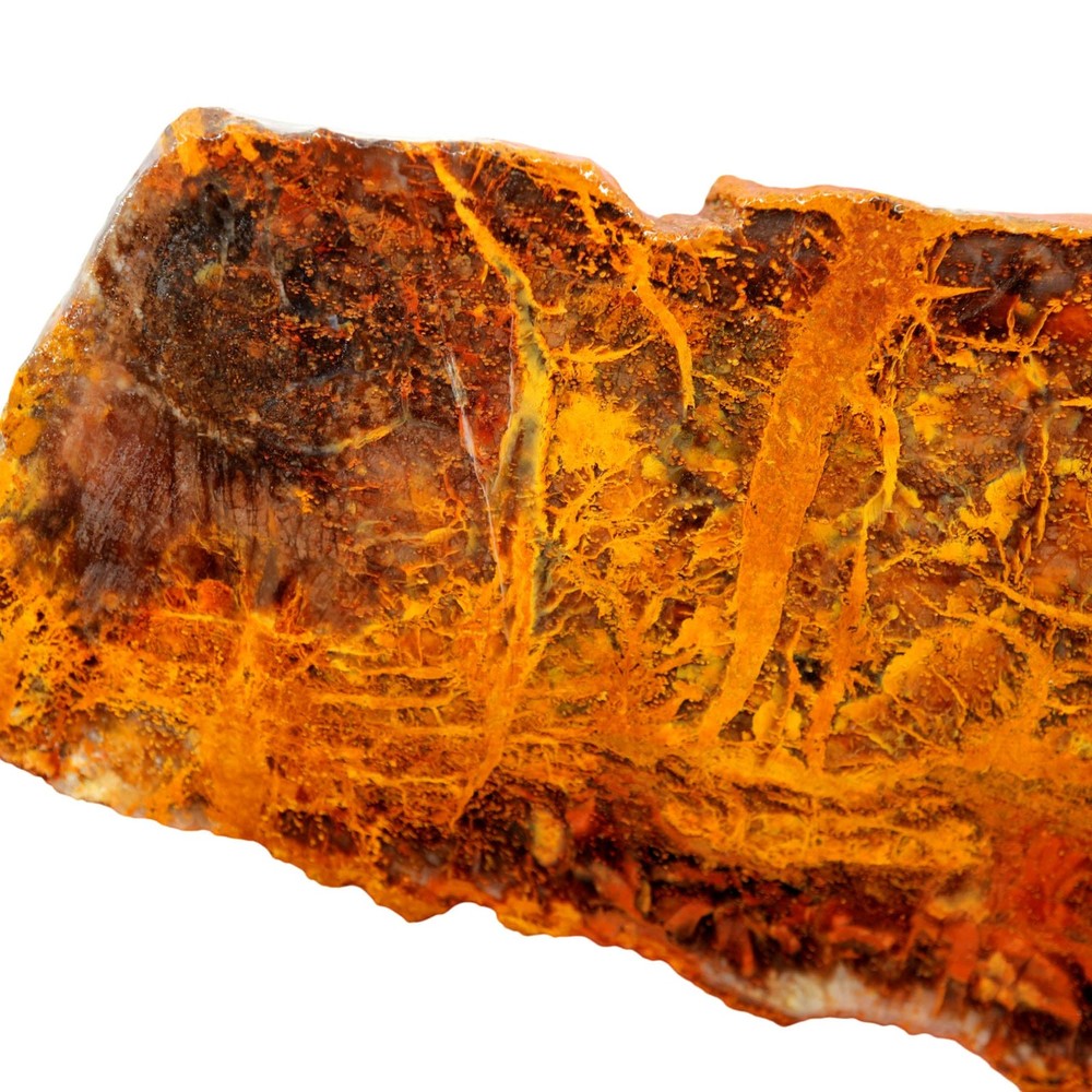 Madagascar Petrified Wood Slab - Orange Lightning Strike Pattern
