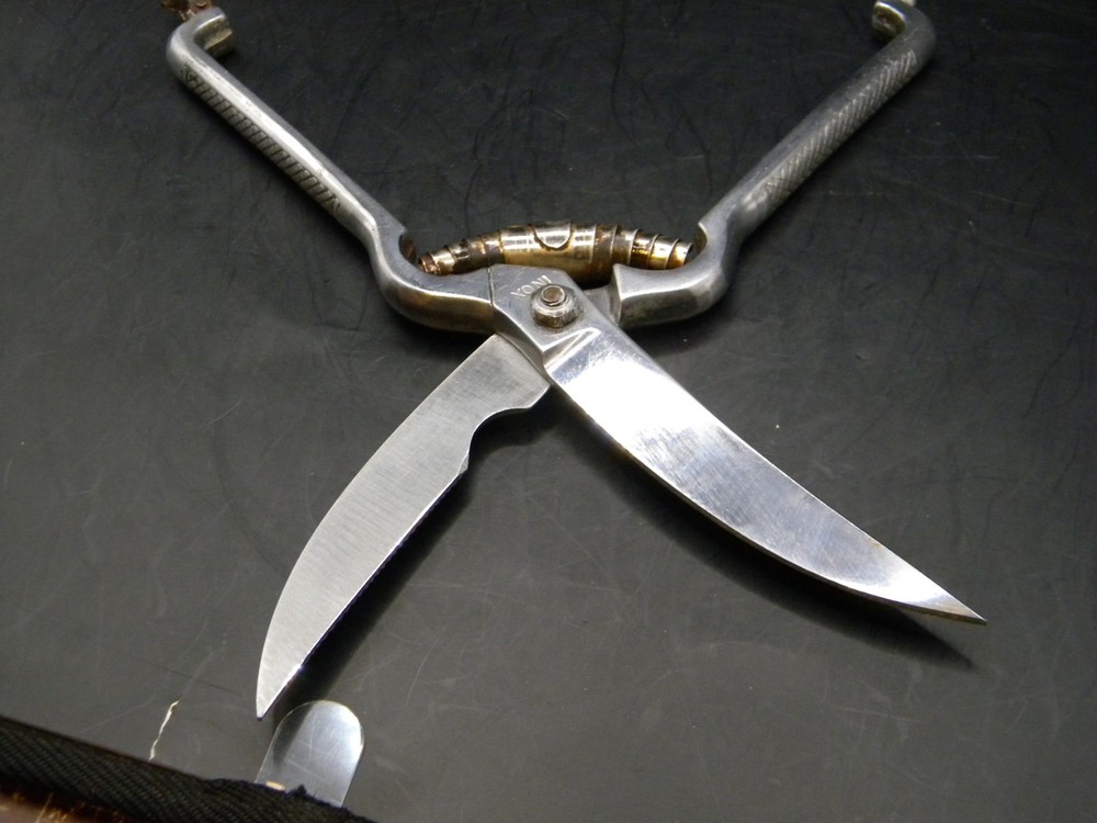 SANELLI Chrome Poultry Shears Locking Scissors ITALY