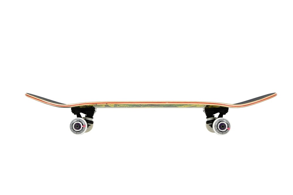Minority 32inch Maple Skateboard|Trick Skateboard for Beginners, Intermediate...