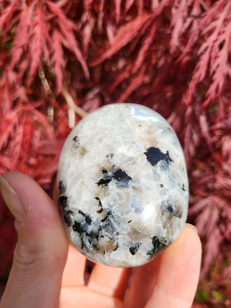 Rainbow Moonstone Palmstone *sale*