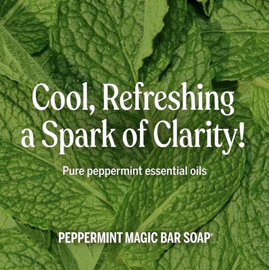 Dr. Bronner's Pure-Castile Magic Soap Peppermint 32.0 fl oz
