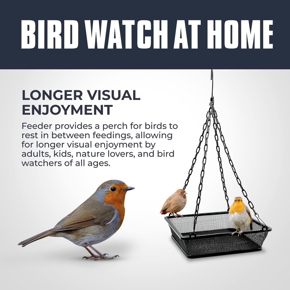 Monarch Abode Hanging Bird Feeder for Outdoors – Birdfeeder Black