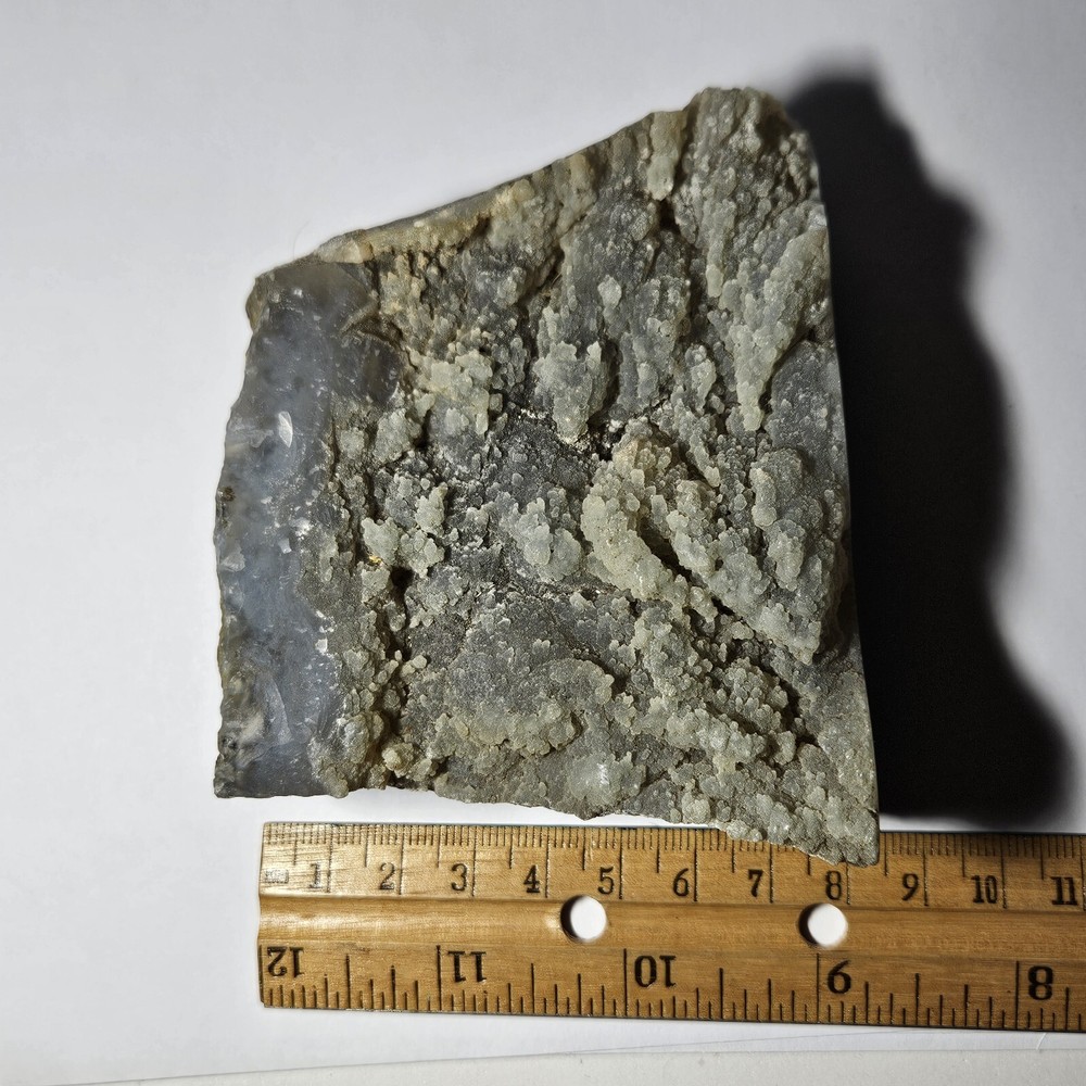 Polished Plume Agate Rough Display Specimen 429 Grams