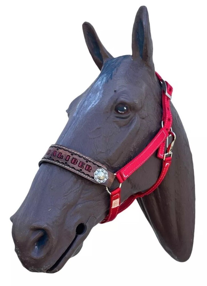 Personalized Nylon Red Horse Halter