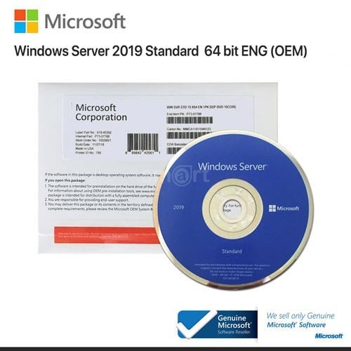 Windows Server 2019 Standard OEM DVD 64 Bit English