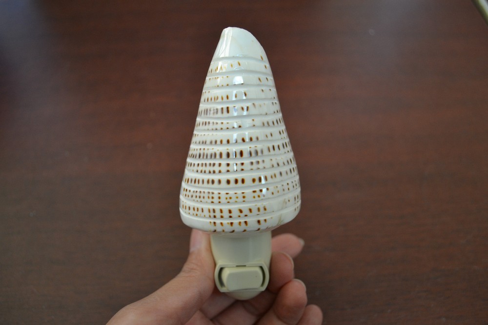 SPOTTED BANDED CONUS SEA SHELL NIGHTLIGHT #S7-251