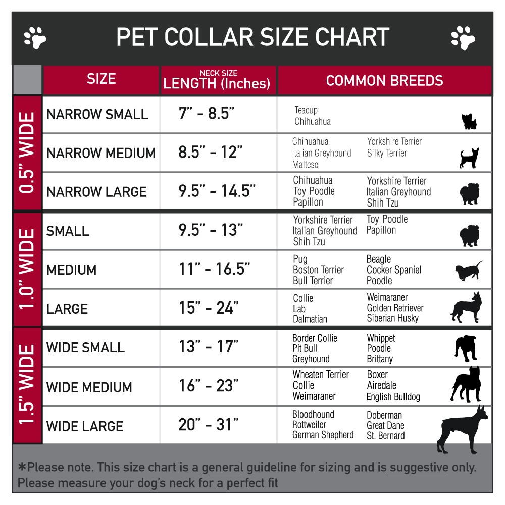 Plastic Clip Collar Seattle Solid Skyline Black/White NARROW-Small 7-8.5"