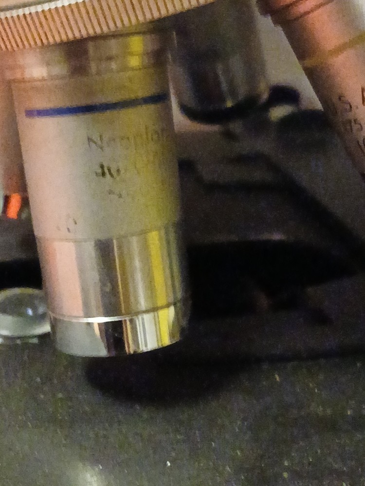 Reichert Microstar IV Series Model 410 Microscope