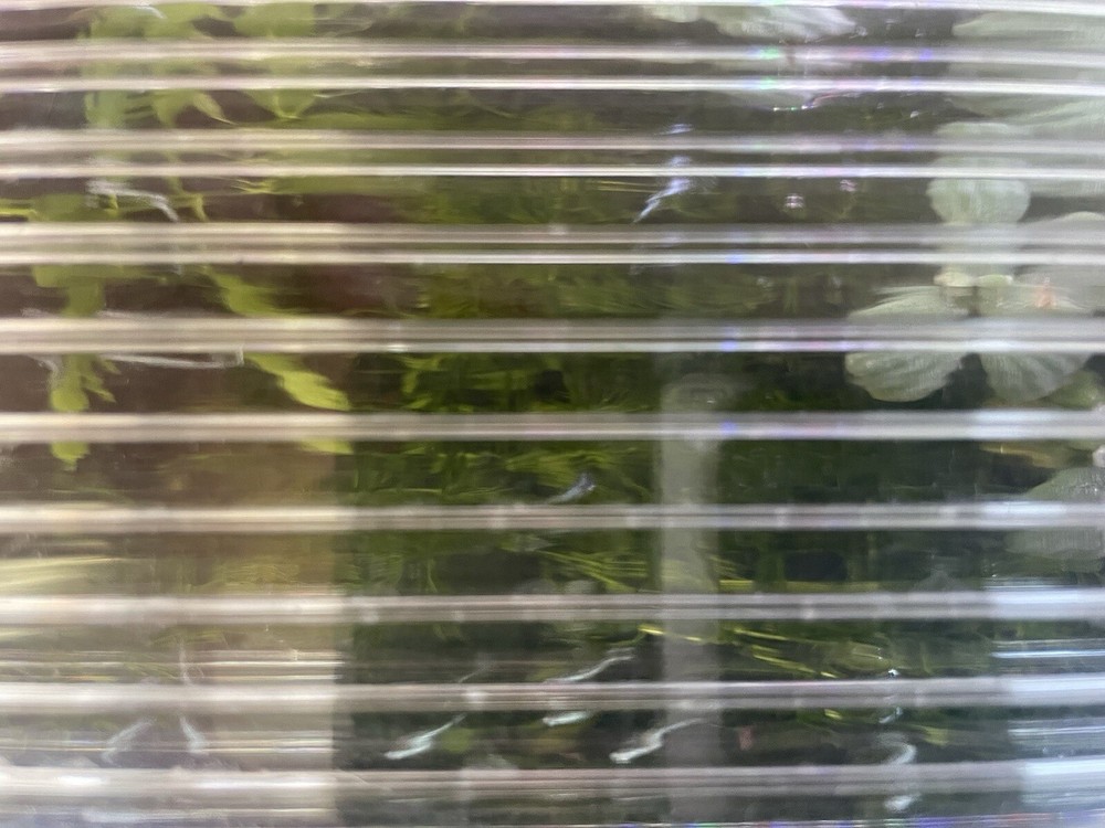Aquarium Lid Polycarbonate Twin Wall 20 Gallon