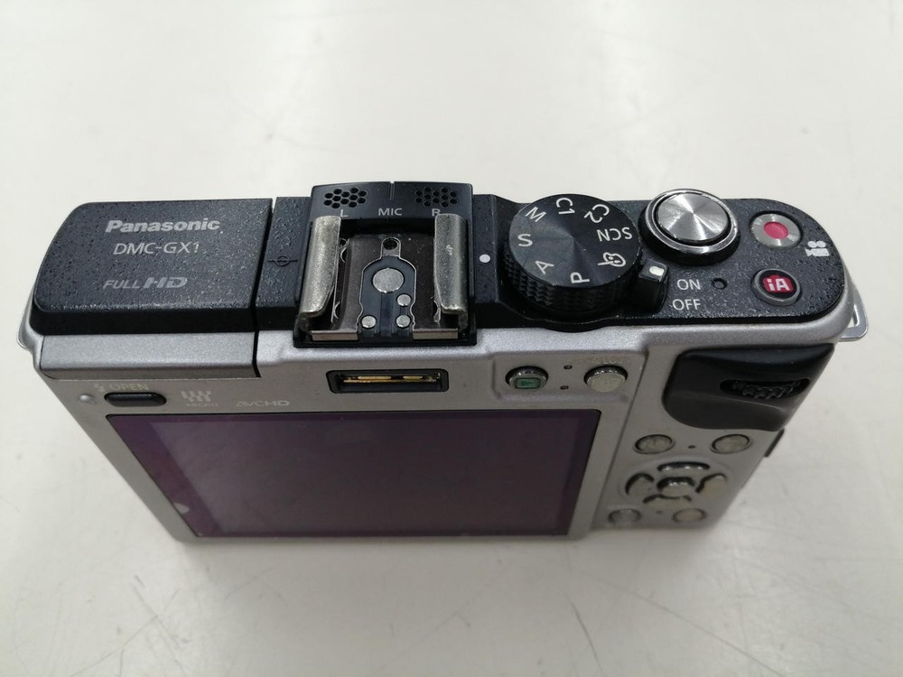 PANASONIC DMC-GX1 Lens Kit Mirrorless Single-Lens Camera Kit