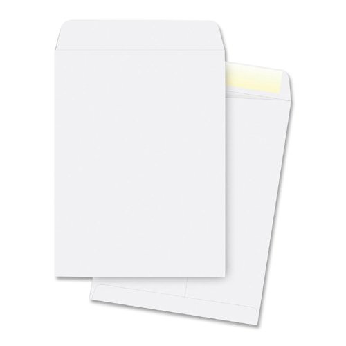 Business Source BSN42103 Catalog Envelope 10x13 250/box White