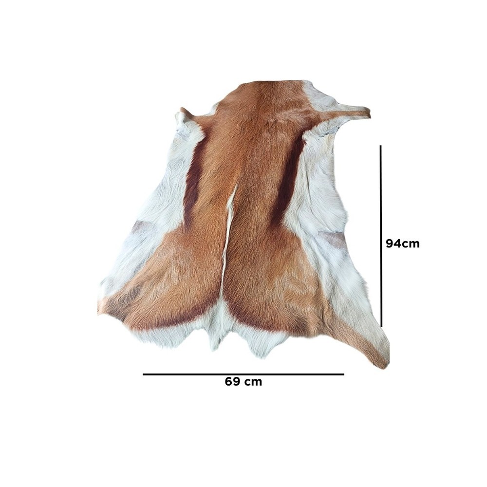 Natural Springbok Hide Authentically African
