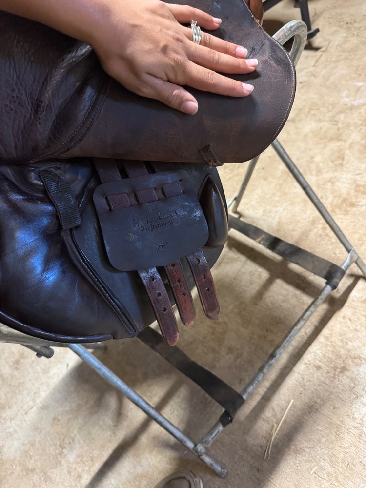 m toulouse professional (Adjustable tree)