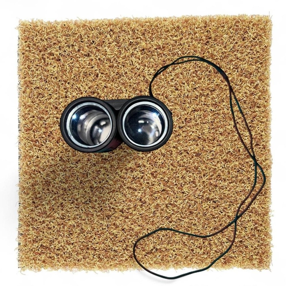 Bushnell black binoculars with case #outdoors #hunting