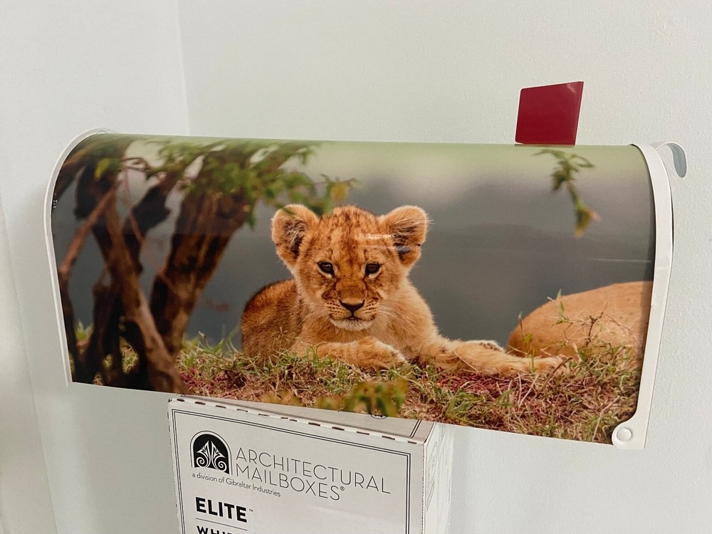 Lion Custom Mailbox: Patriotic gift ideas