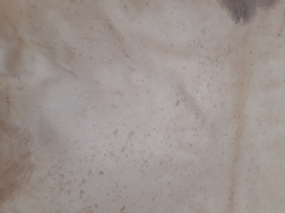Goat Rawhide Skin. Full Rawhide. Genuine Leather. Goathide.