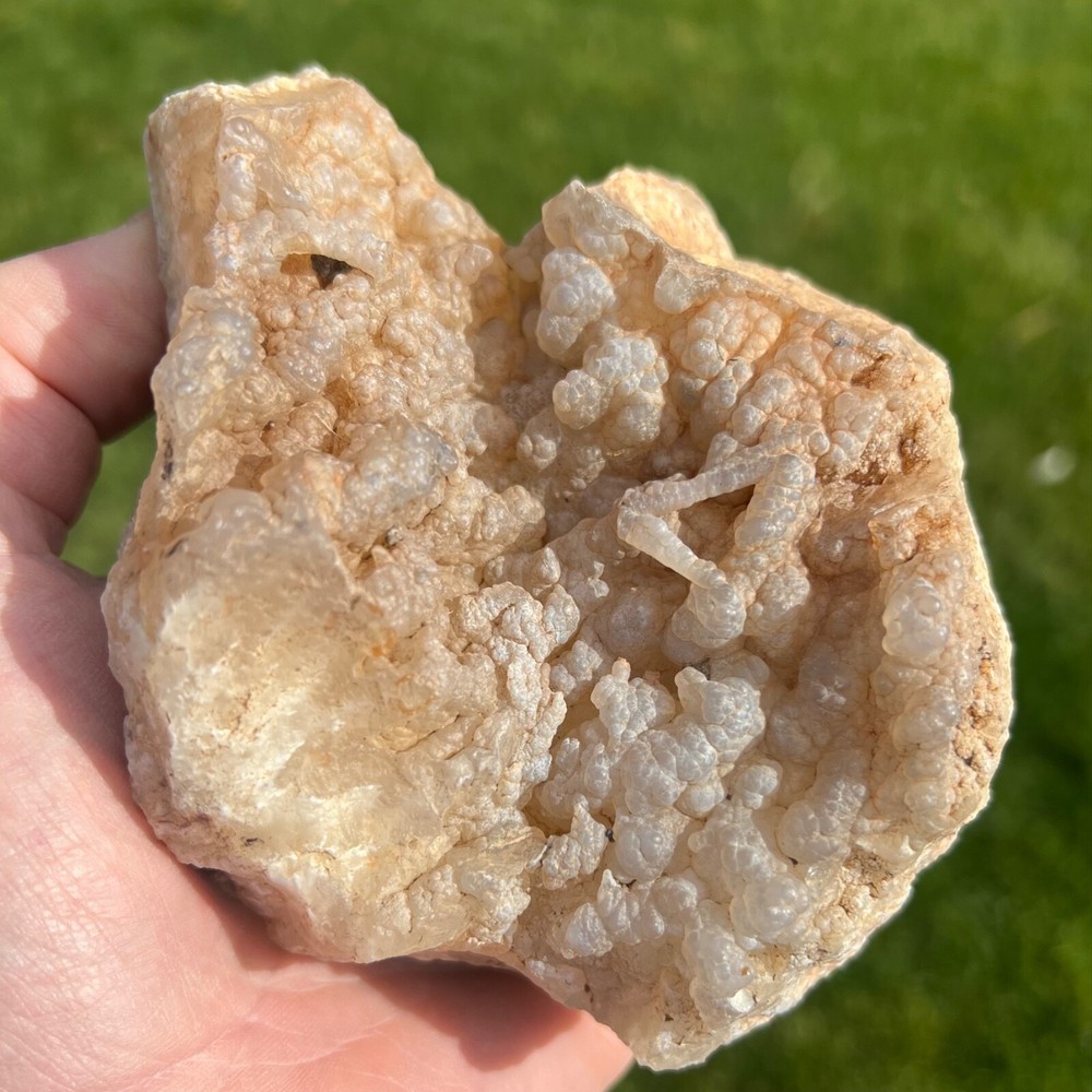 Succor Creek Botryoidal Agate Specimen 658gm (Y2)