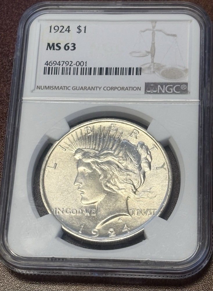1924 P $1 PEACE SILVER DOLLAR ✪ NGC MS-63✪  DIE GOUGE ERROR