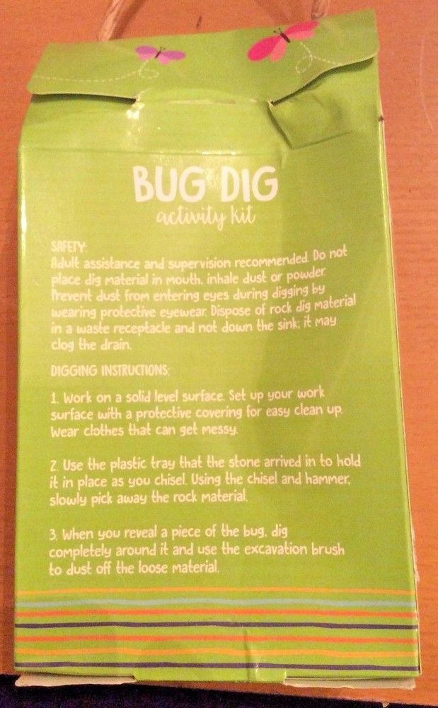 Bug Dig Insect Excavation Kit Dig Discover Bug Stone Activity Kit