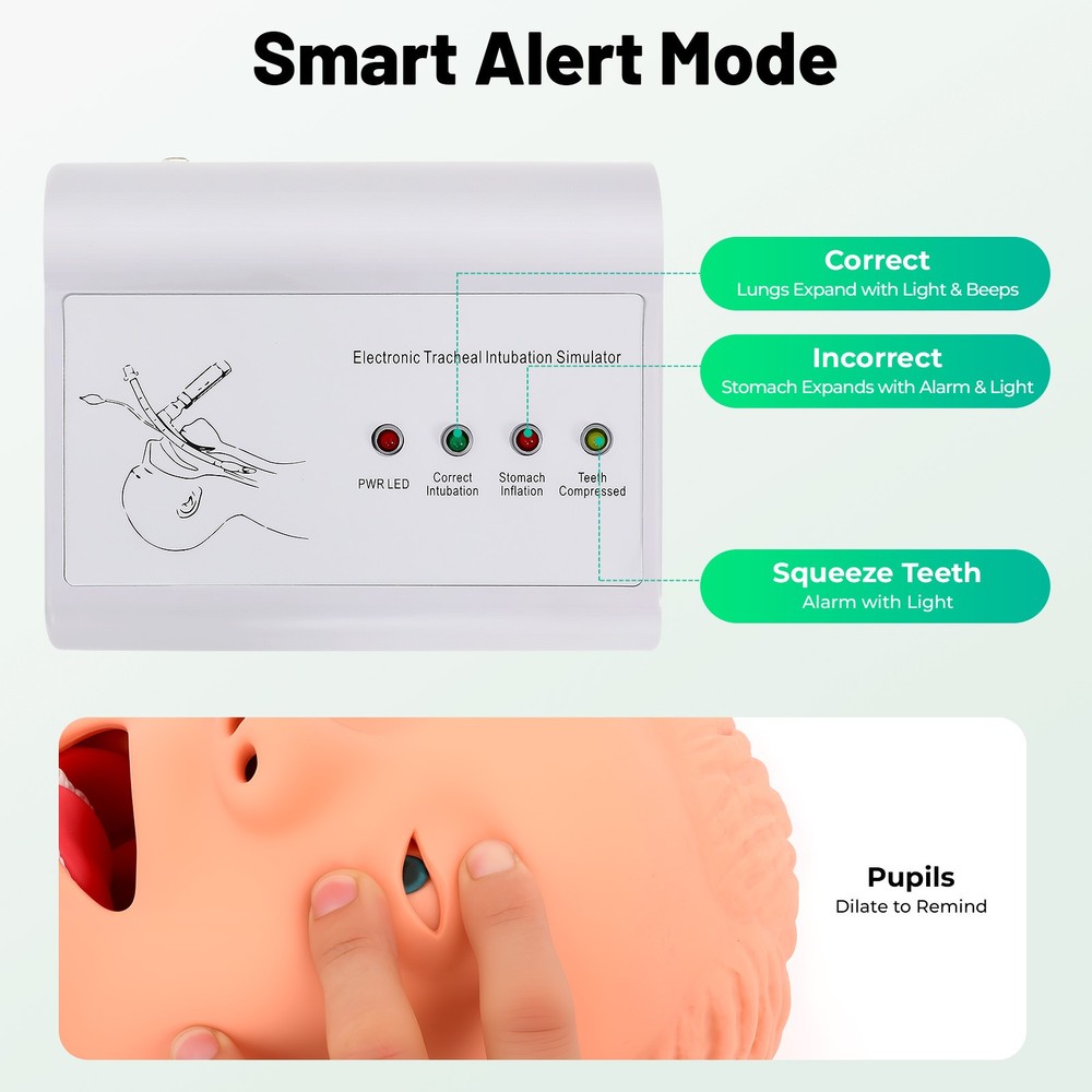 Intubation Manikin Study Teaching Simulator Airway Management Trainer Tool Model