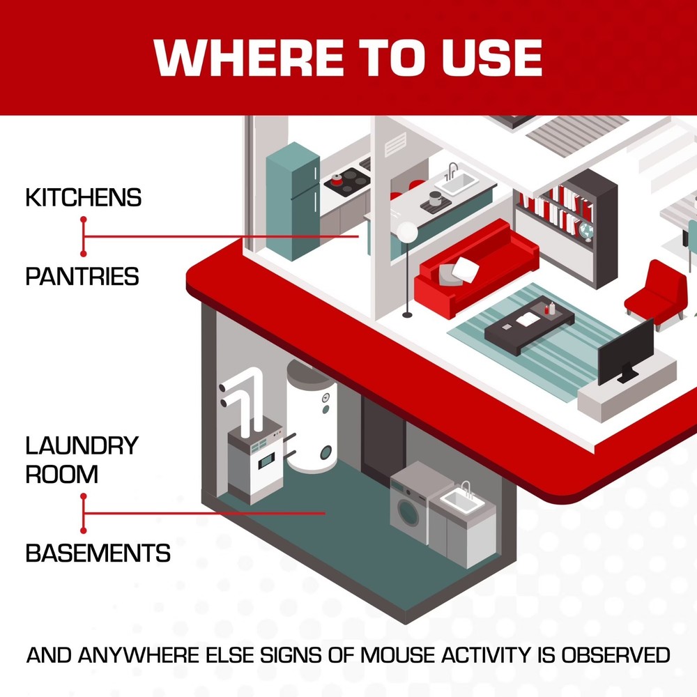 Tomcat Super Hold Glue Traps Mouse Size