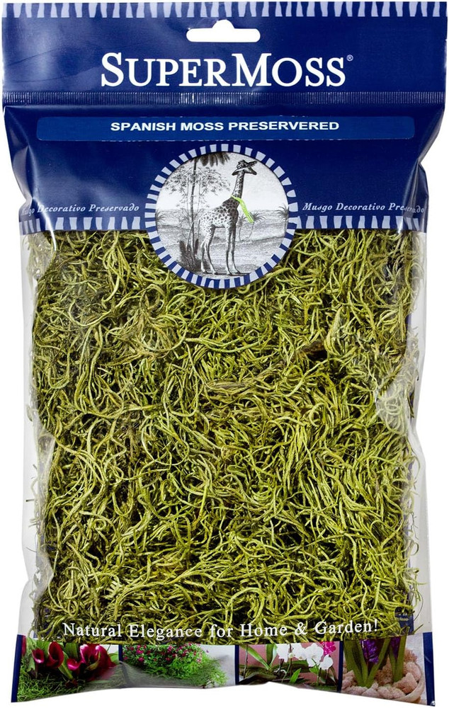 Spanish Preserved Swirly Moss, Chartreuse