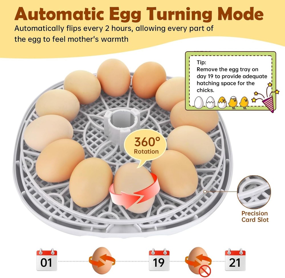 Egg Incubator for Chicks, Automatic Egg Turner Holds 12 Eggs, Smart Inc