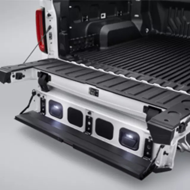 Genuine GM Bed Tailgate Step Light For Multi-Pro 84347814