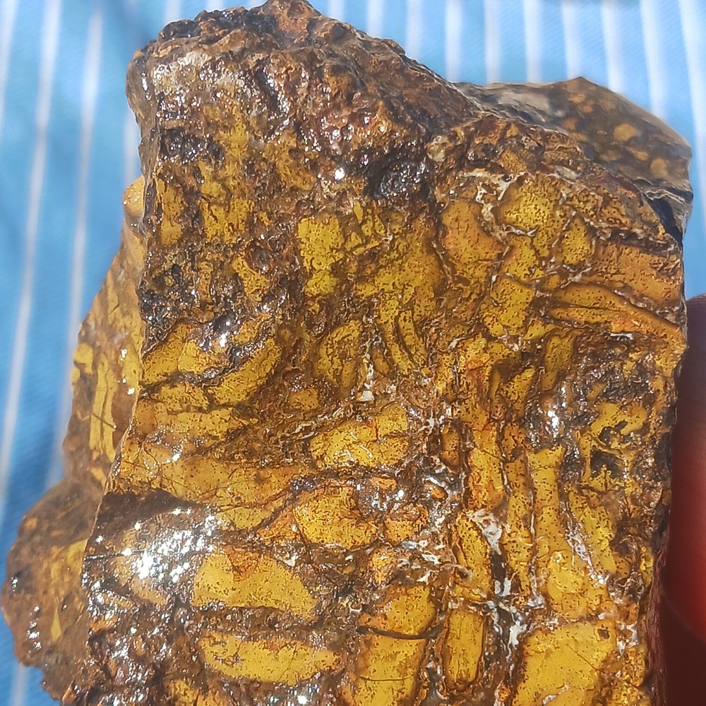 Jasper Rough Specimen Display Lapidary Potential