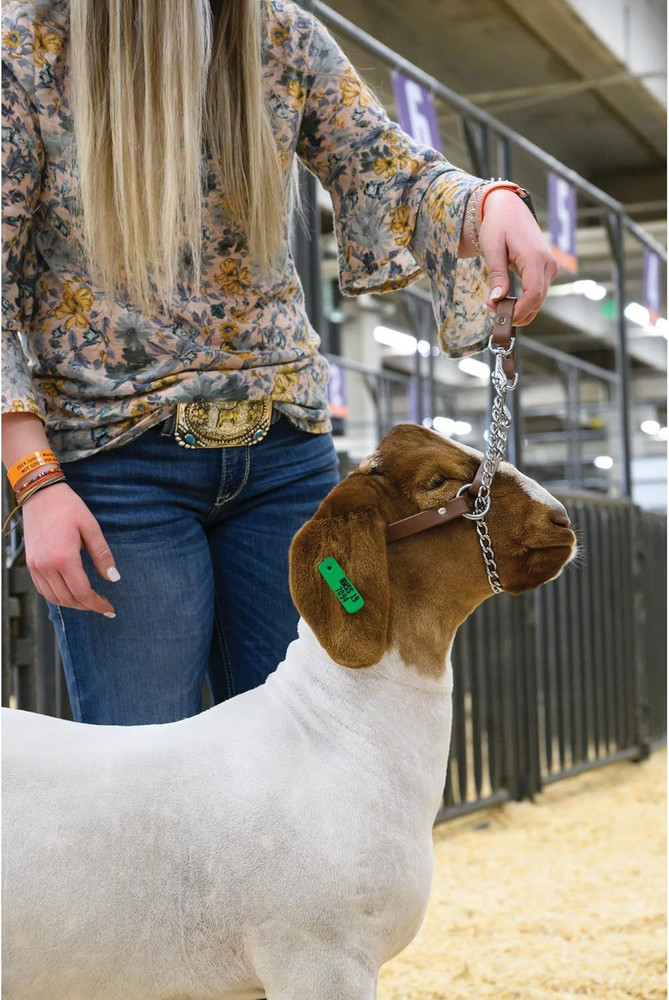 Brahma Webb Total Control Goat Halter, Brown