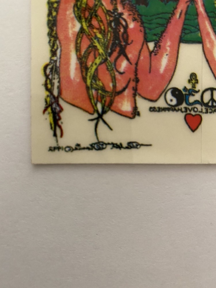 Vintage Grateful Dead Sticker Decal Co-Evolution Revolution Ralph Manis 1992