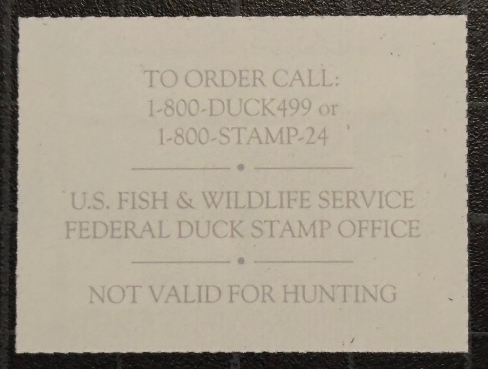 US Stamps - SC# JDS 13 - Single - SCV $17.50
