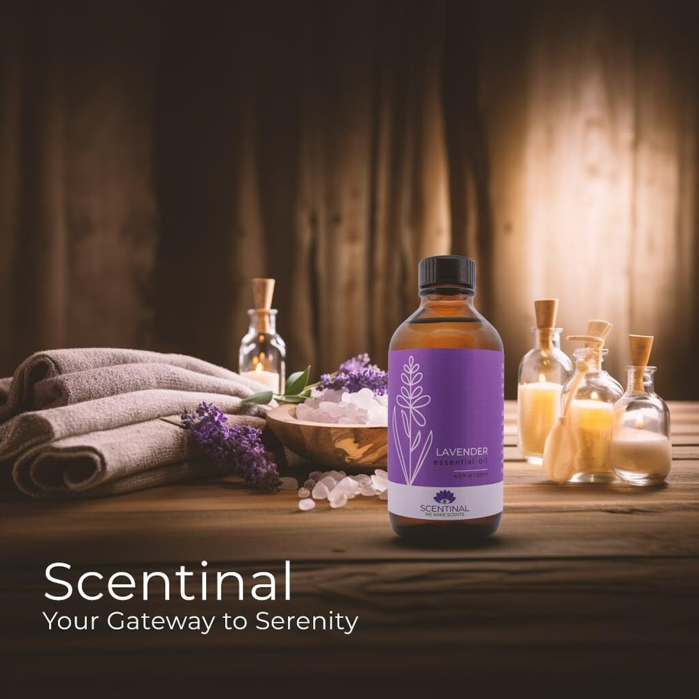 Scentinal Lavender Essential Oil - 100% Pure, Natural & Authentic - Extra Large