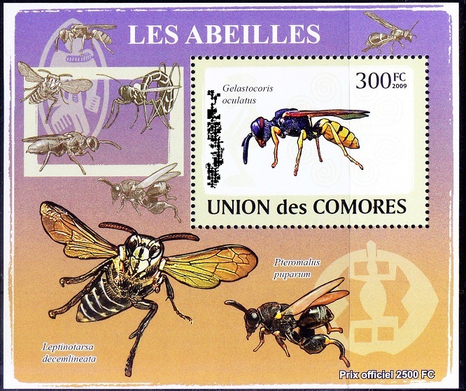 Big-Eyed Toad Bug, Insects, Comoros 2009 MNH Sheet