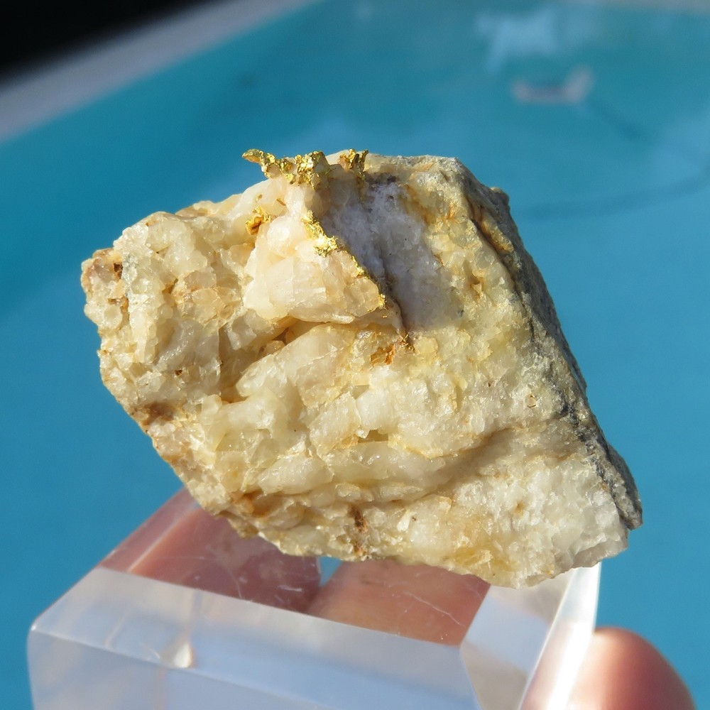 Minerals *** HISTORIC NATIVE GOLD on Brusson MATRIX