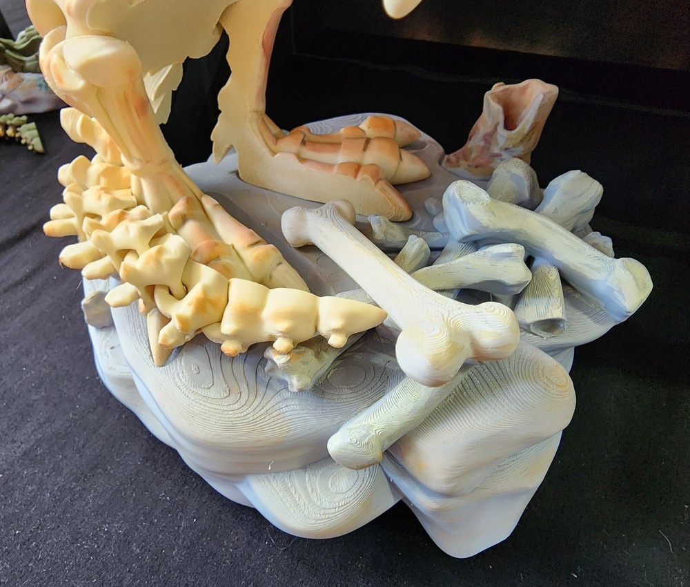 Hand painted 3D Painted 12 inch tall T-Rex Skeleton