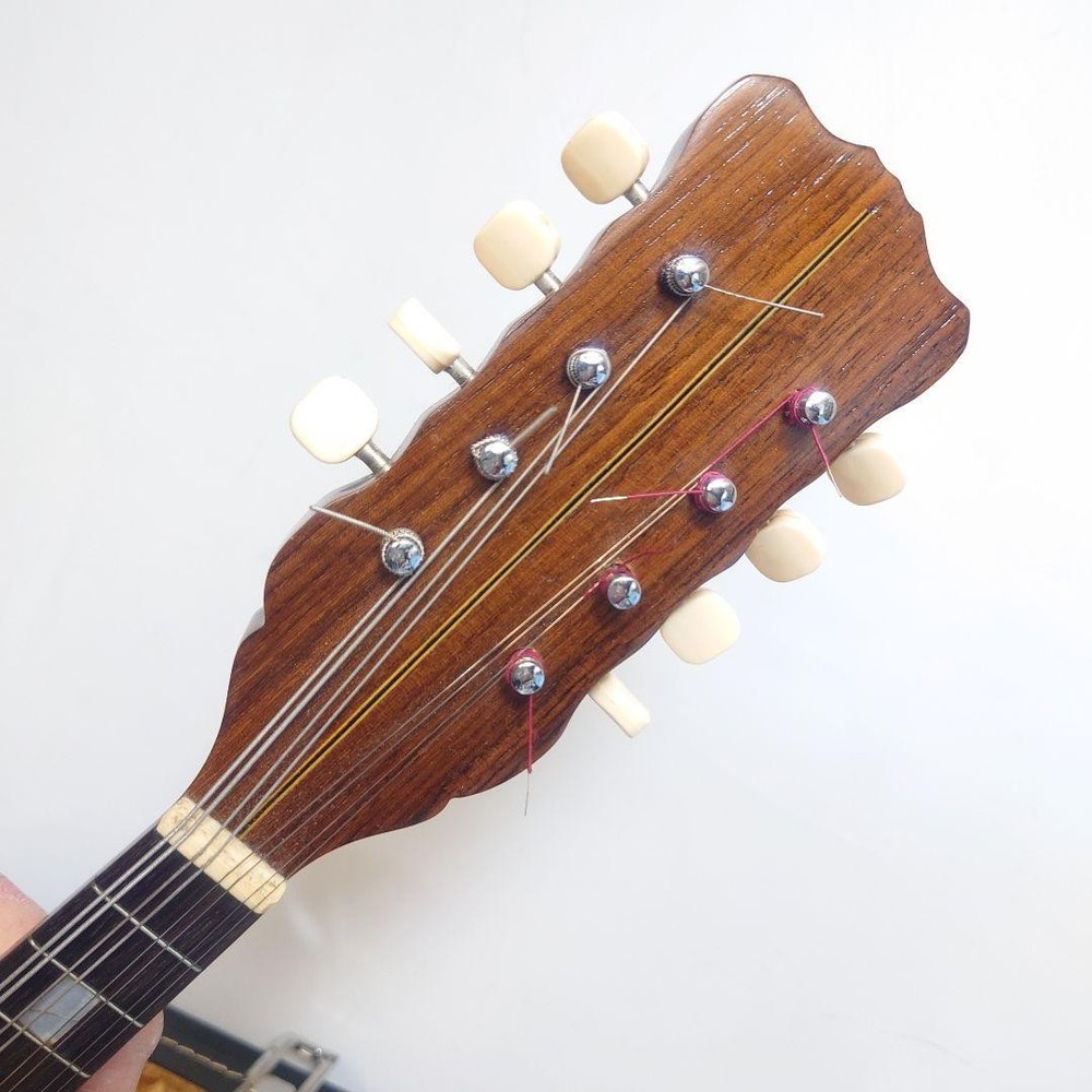 1975 Iwasaki Mandolin with hard case Ohno