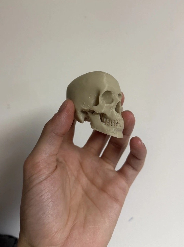 Mini Human Skull 💀 (Good Resolution) (Bone color, PLA plastic)