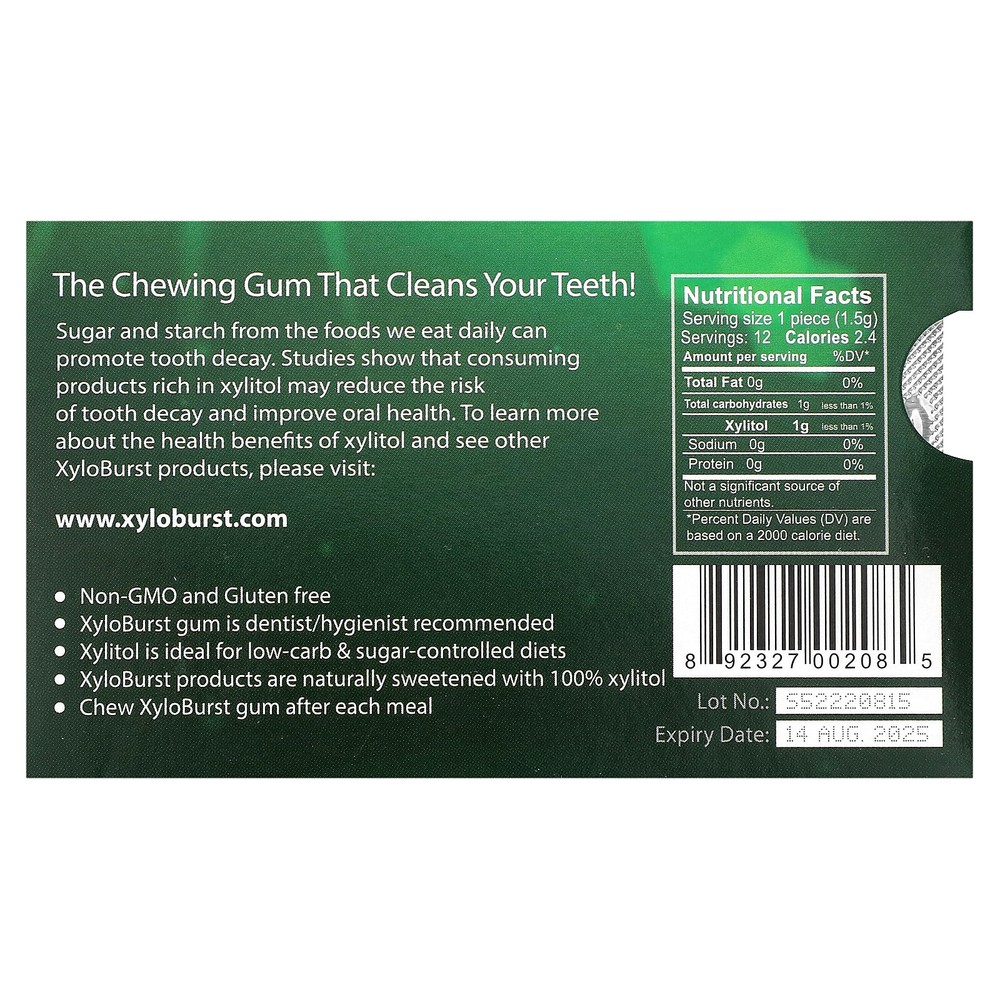 Xylitol Gum, Spearmint, 12 Pieces