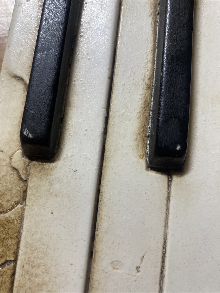 Sid Dickens Piano Keys Memory Block Tile T-45 Ivory/Black Retired