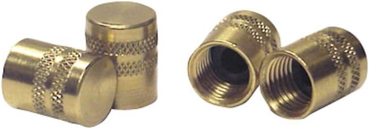 1/4" Solid Brass Caps for Quick Seal Adapters - Pack of 6