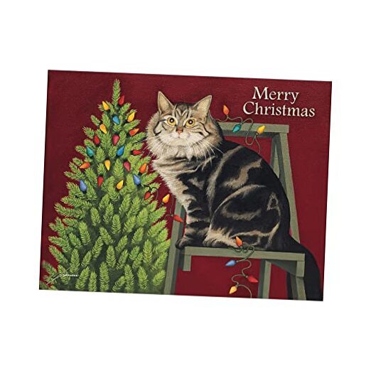 Stringing Lights Boxed Christmas Cards (1004833)