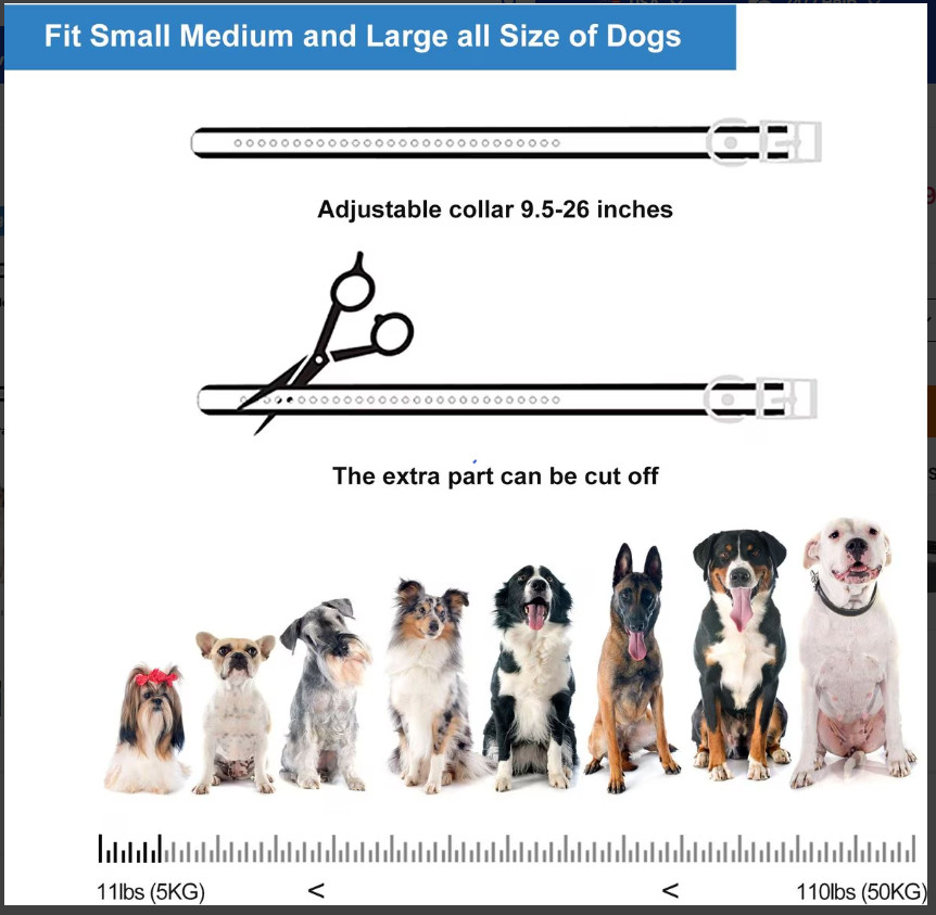Static-free training collar utilizes an earth-friendly, CFC-free citronella spra