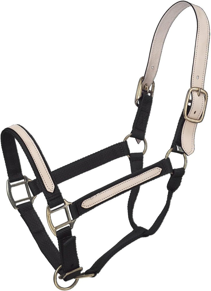 Break-away Halter, Black, Horse